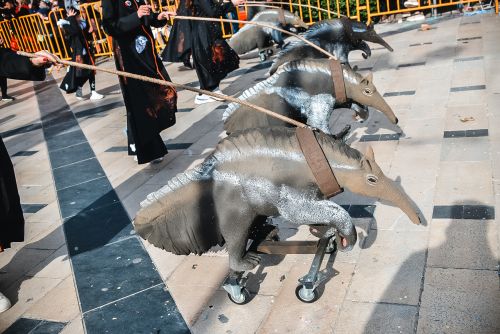 ΜΕΓΑΛΗ-ΠΑΡΕΛΑΣΗ-2026-204